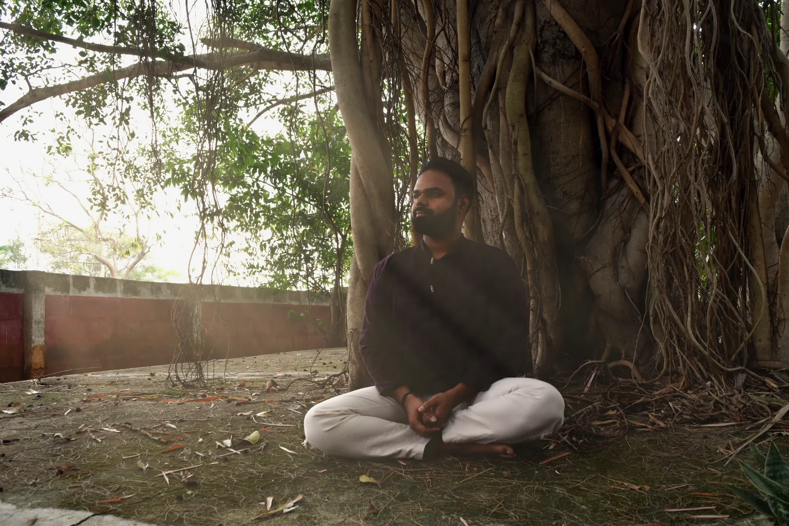Praṇav Śāstrī seated cross-legged at the foot of a banyan tree in the morning light