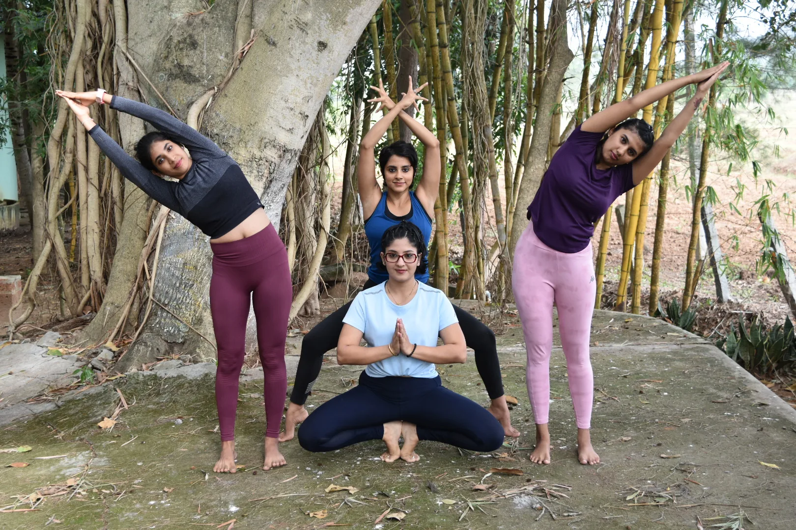 Four practitioners in side bends and a seated pose beneath a banyan tree and bamboo