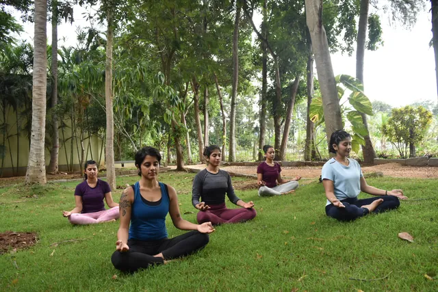 A group seated in meditation on the grass