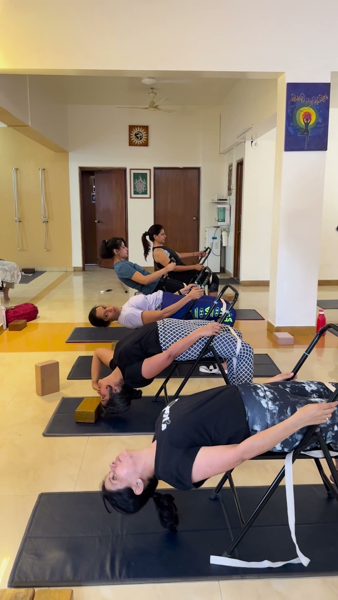 Three practitioners lying back over folding chairs in supported backbends
