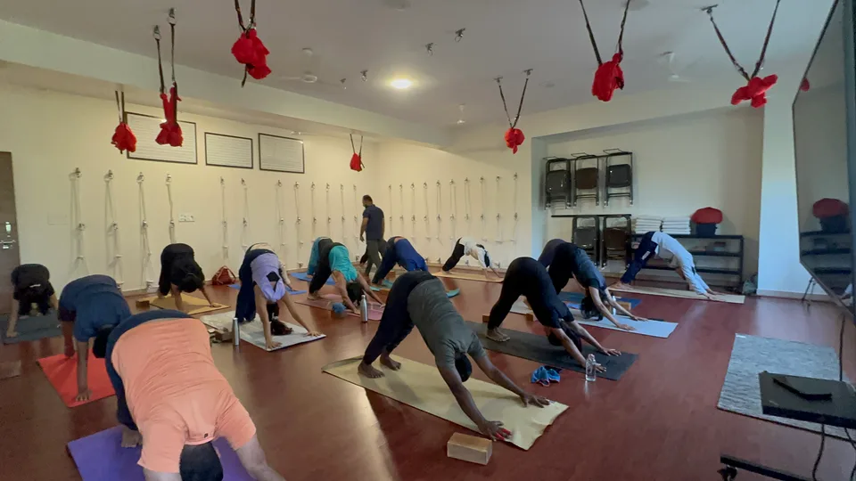 A line of about ten students holding downward-facing dog on mats laid in rows across a wide studio floor, one person standing at the back of the room.