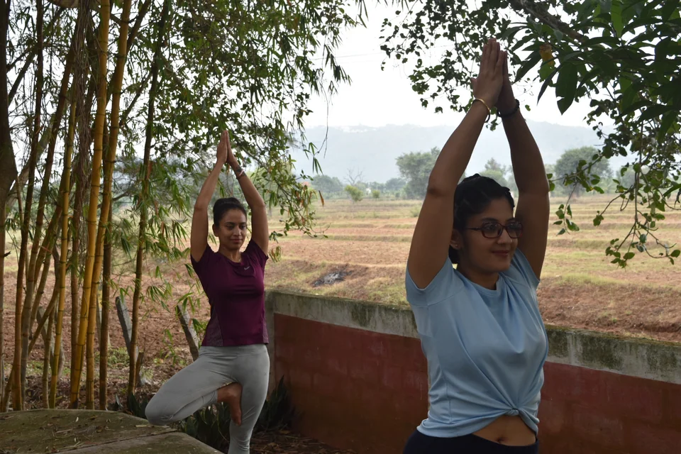 Two women in tree pose with arms overhead beside a bamboo clump above dry fields