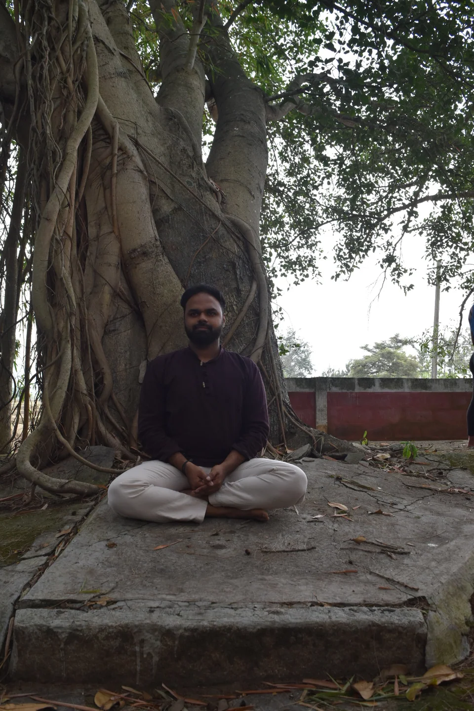 A man sitting cross-legged with his hands in his lap on a stone slab at the foot of a huge banyan tree