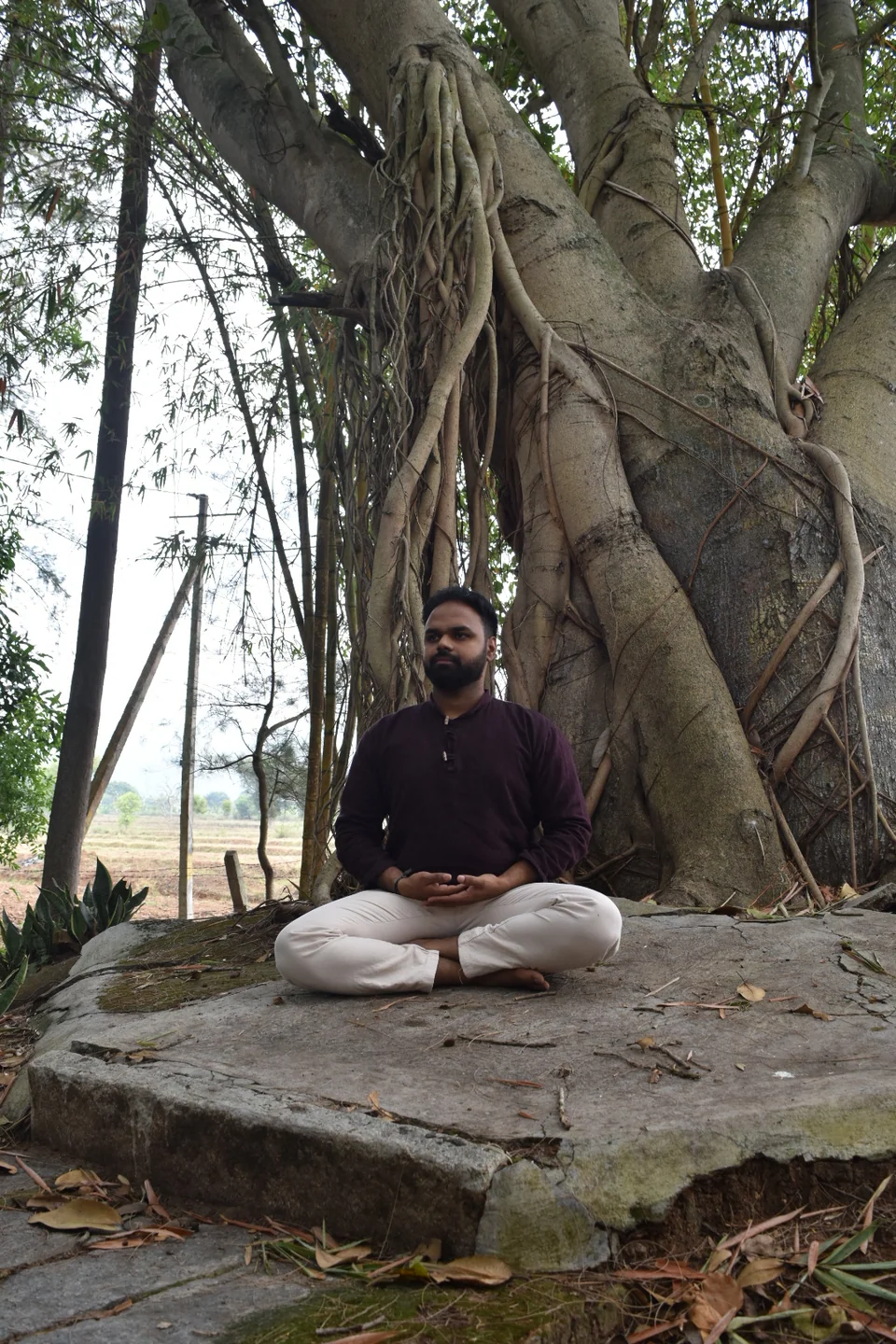 A man sitting cross-legged beneath a banyan, its trunk and hanging roots behind him