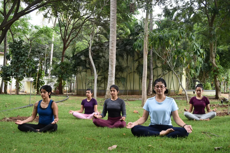 Five women sitting cross-legged on grass among tall trees with their hands on their knees