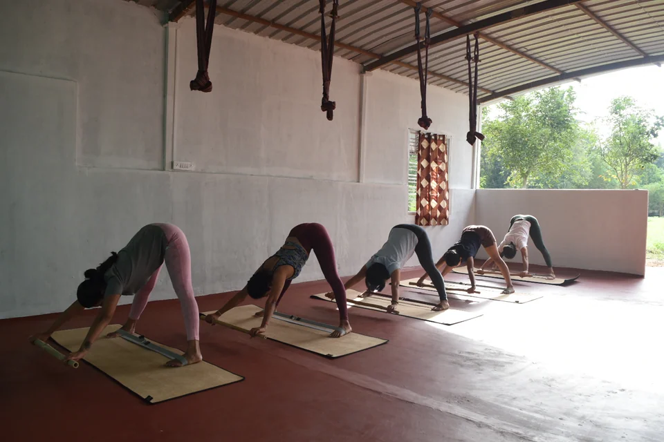 A row of practitioners in downward-facing dog on mats in an open hall